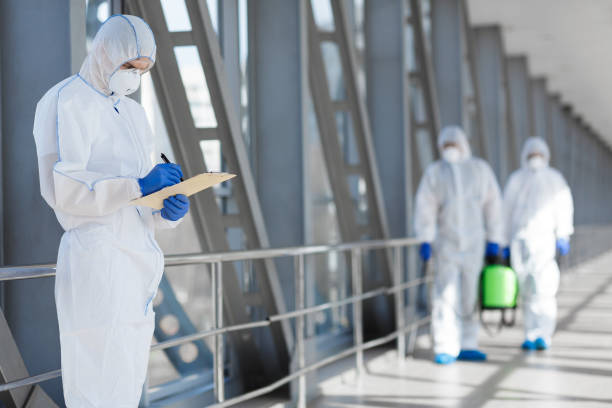 Environmental Consulting for Mold Prevention in Lake Crystal, MN