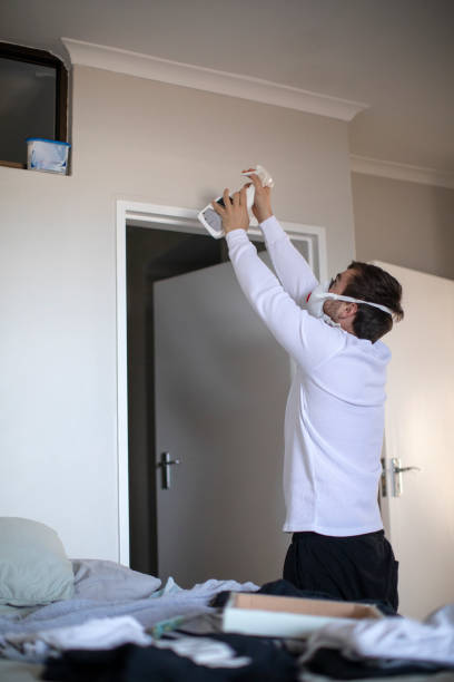 Best Real Estate Mold Inspection  in Lake Crystal, MN