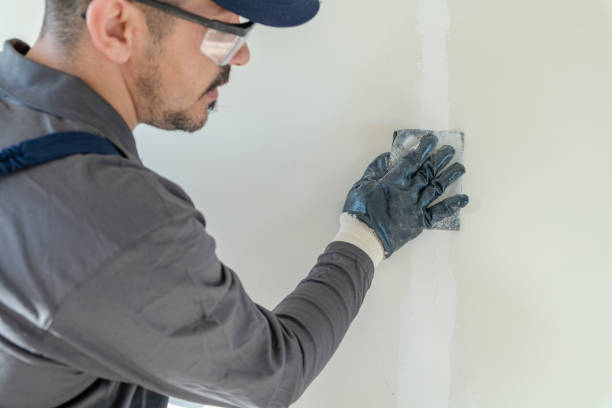 Best Water Damage & Mold Remediation  in Lake Crystal, MN