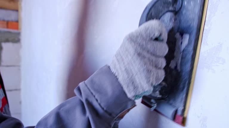Best Mold Damage Restoration  in Lake Crystal, MN