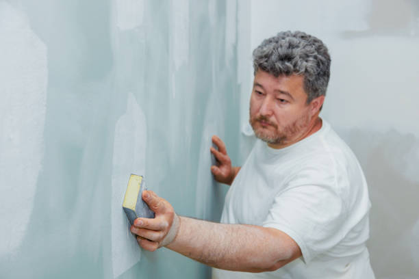Best Post-Remediation Verification Testing  in Lake Crystal, MN