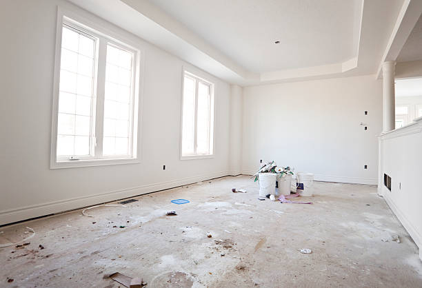 Best Mold Removal for HVAC Installations  in Lake Crystal, MN