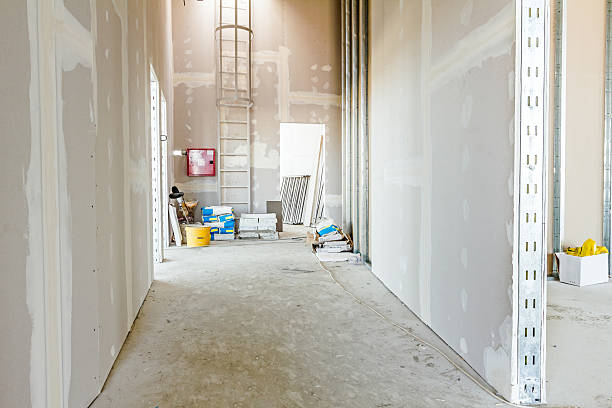 Best Indoor Air Quality Assessment  in Lake Crystal, MN